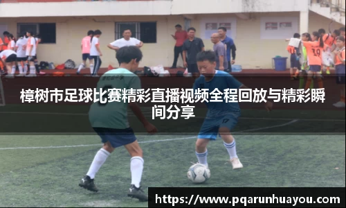 樟树市足球比赛精彩直播视频全程回放与精彩瞬间分享