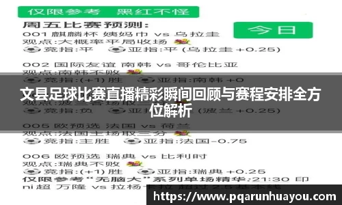 文县足球比赛直播精彩瞬间回顾与赛程安排全方位解析