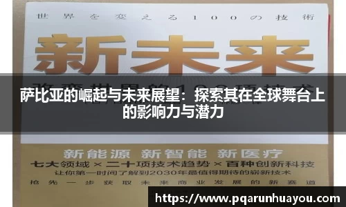 萨比亚的崛起与未来展望：探索其在全球舞台上的影响力与潜力